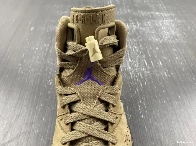 Rep LUCY Gore-Tex Jordan Brown WMNS Air Kelp 6 FD1643-300 0509